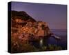 Manarola Harbour-Richard Desmarais-Stretched Canvas