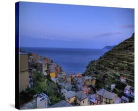 Manarola Looking towards Ligurian Sea-Richard Desmarais-Stretched Canvas