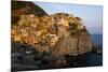 Manarola, municipality of Riomaggiore, Italian Riviera, Cinque Terre, Liguria, Italy-null-Mounted Art Print