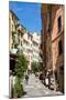 Manarola, Riomaggiore, Cinque Terre, UNESCO World Heritage Site, Liguria, Italy, Europe-Peter Groenendijk-Mounted Photographic Print