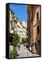 Manarola, Riomaggiore, Cinque Terre, UNESCO World Heritage Site, Liguria, Italy, Europe-Peter Groenendijk-Framed Stretched Canvas