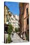 Manarola, Riomaggiore, Cinque Terre, UNESCO World Heritage Site, Liguria, Italy, Europe-Peter Groenendijk-Stretched Canvas