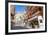 Manarola, Riomaggiore, Cinque Terre, UNESCO World Heritage Site, Liguria, Italy, Europe-Peter Groenendijk-Framed Photographic Print