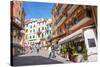 Manarola, Riomaggiore, Cinque Terre, UNESCO World Heritage Site, Liguria, Italy, Europe-Peter Groenendijk-Stretched Canvas