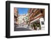 Manarola, Riomaggiore, Cinque Terre, UNESCO World Heritage Site, Liguria, Italy, Europe-Peter Groenendijk-Framed Photographic Print