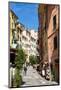 Manarola, Riomaggiore, Cinque Terre, UNESCO World Heritage Site, Liguria, Italy, Europe-Peter Groenendijk-Mounted Photographic Print