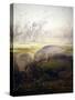 Manatee, 1879-Joseph Wolf-Stretched Canvas