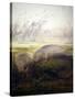 Manatee, 1879-Joseph Wolf-Stretched Canvas