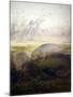 Manatee, 1879-Joseph Wolf-Mounted Giclee Print