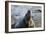 Manatee, Beach-null-Framed Photographic Print