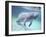 Manatee, Crystal River NW Refuge, FL-Frank Staub-Framed Premium Photographic Print