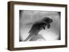 Manatee Mother and Newborn Swimming-null-Framed Photographic Print