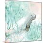 Manatee Swim-Kimberly Allen-Mounted Art Print