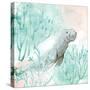 Manatee Swim-Kimberly Allen-Stretched Canvas