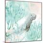 Manatee Swim-Kimberly Allen-Mounted Art Print