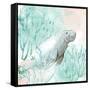 Manatee Swim-Kimberly Allen-Framed Stretched Canvas