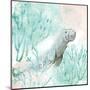 Manatee Swim-Kimberly Allen-Mounted Art Print