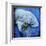 Manatee-null-Framed Art Print