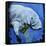 Manatee-null-Framed Stretched Canvas