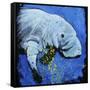 Manatee-null-Framed Stretched Canvas