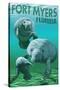 Manatees - Fort Myers, Florida-Lantern Press-Stretched Canvas