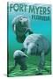 Manatees - Fort Myers, Florida-Lantern Press-Stretched Canvas