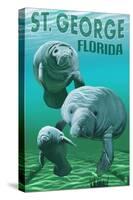 Manatees - St. George, Florida-Lantern Press-Stretched Canvas