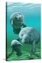 Manatees-Lantern Press-Stretched Canvas