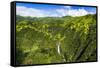 Manawaiopuna Falls (aerial) also known as Jurassic Park Falls, Hanapepe Valley, Kauai, Hawaii, USA.-Russ Bishop-Framed Stretched Canvas