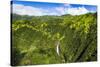 Manawaiopuna Falls (aerial) also known as Jurassic Park Falls, Hanapepe Valley, Kauai, Hawaii, USA.-Russ Bishop-Stretched Canvas