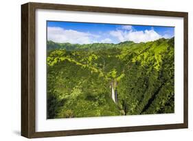 Manawaiopuna Falls (aerial) also known as Jurassic Park Falls, Hanapepe Valley, Kauai, Hawaii, USA.-Russ Bishop-Framed Photographic Print