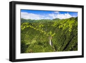 Manawaiopuna Falls (aerial) also known as Jurassic Park Falls, Hanapepe Valley, Kauai, Hawaii, USA.-Russ Bishop-Framed Photographic Print