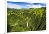 Manawaiopuna Falls (aerial) also known as Jurassic Park Falls, Hanapepe Valley, Kauai, Hawaii, USA.-Russ Bishop-Framed Photographic Print