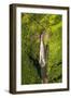 Manawaiopuna Falls (aerial) also known as Jurassic Park Falls, Hanapepe Valley, Kauai, Hawaii, USA.-Russ Bishop-Framed Photographic Print