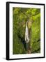 Manawaiopuna Falls (aerial) also known as Jurassic Park Falls, Hanapepe Valley, Kauai, Hawaii, USA.-Russ Bishop-Framed Photographic Print