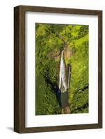 Manawaiopuna Falls (aerial) also known as Jurassic Park Falls, Hanapepe Valley, Kauai, Hawaii, USA.-Russ Bishop-Framed Photographic Print