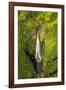 Manawaiopuna Falls (aerial) also known as Jurassic Park Falls, Hanapepe Valley, Kauai, Hawaii, USA.-Russ Bishop-Framed Photographic Print