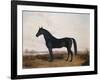 Manbrino Patchen 58, in an Extensive Landscape, 1867-Henry Thomas Alken-Framed Giclee Print