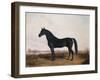 Manbrino Patchen 58, in an Extensive Landscape, 1867-Henry Thomas Alken-Framed Giclee Print