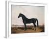 Manbrino Patchen 58, in an Extensive Landscape, 1867-Henry Thomas Alken-Framed Giclee Print