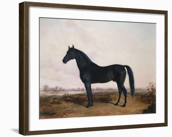 Manbrino Patchen 58, in an Extensive Landscape, 1867-Henry Thomas Alken-Framed Giclee Print