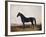 Manbrino Patchen 58, in an Extensive Landscape, 1867-Henry Thomas Alken-Framed Giclee Print