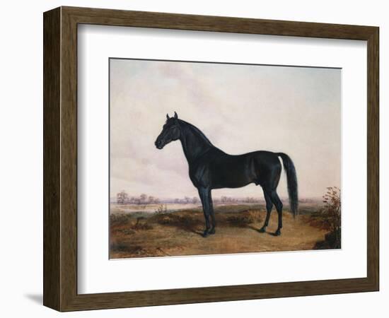 Manbrino Patchen 58, in an Extensive Landscape, 1867-Henry Thomas Alken-Framed Giclee Print