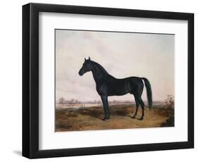 Manbrino Patchen 58, in an Extensive Landscape, 1867-Henry Thomas Alken-Framed Giclee Print