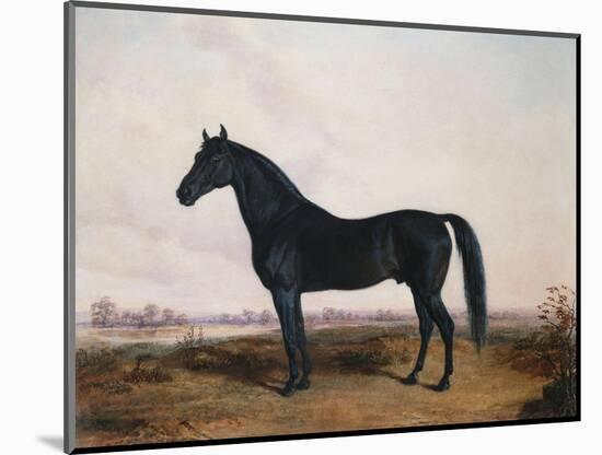 Manbrino Patchen 58, in an Extensive Landscape, 1867-Henry Thomas Alken-Mounted Giclee Print