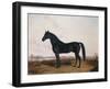 Manbrino Patchen 58, in an Extensive Landscape, 1867-Henry Thomas Alken-Framed Giclee Print