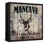 Mancave II-Mindy Sommers-Framed Stretched Canvas