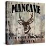 Mancave II-Mindy Sommers-Stretched Canvas