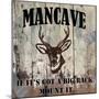 Mancave II-Mindy Sommers-Mounted Giclee Print