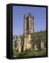 Manchester Cathedral-Paul Thompson-Framed Stretched Canvas